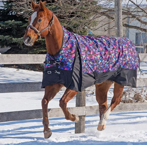 Canadian Horsewear Dreamcoat Rainsheet