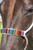 Professional's Choice Cowboy Braided Rope Halter - White/Serape