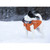 RCPets Cascade Dog Coat