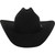 Stetson Men's Apache 4X Buffalo Black Felt Cowboy Hat