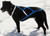 X-Back Dog Harness