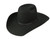 Resistol Hooey Day Money Felt Cowboy Hat