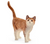 Schleich Cat