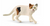 Schleich American Short Hair Cat