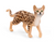Schleich Bengal Cat