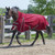 Canadian Horsewear Habanera Storm Turnout 160Gm