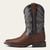 Kid's Ariat Brazen Brown Tycoon Boots
