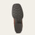 Kid's Ariat Brazen Brown Tycoon Boots