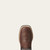 Kid's Ariat Brazen Brown Tycoon Boots