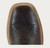 Men's Hyer Hazelton Apache/Tangerine Boot