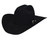 Bailey Lightning 4X Felt Cowboy Hat