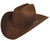 Bailey Lightning 4X Felt Cowboy Hat