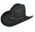 Bailey Elbidge 3X Felt Cowboy Hat