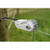 Gallagher Insulated Strainer
