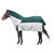 Century Fly & Rain Sheet Combo