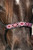 Professional's Choice Beaded Cowboy Braided Rope Halter