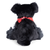 Bukowski Bears - Baby Elvis