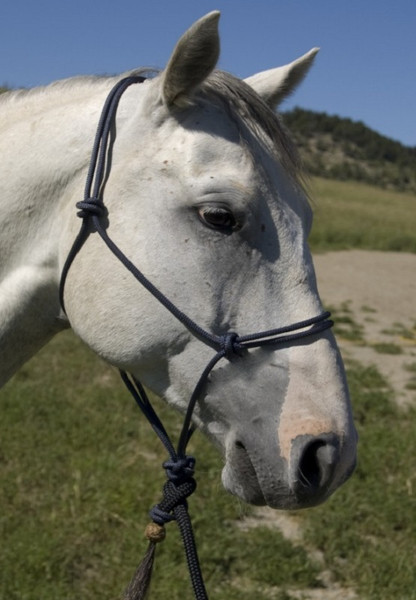 Kanga 2 Knot Rope Halter