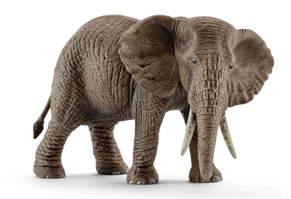 Schleich African Elephant - Female