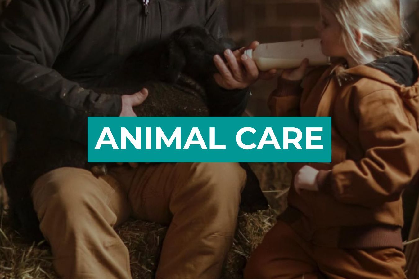 Animal Care