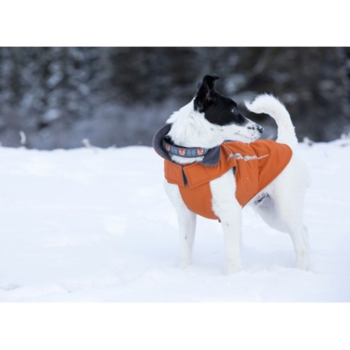 dog coat with leash hook