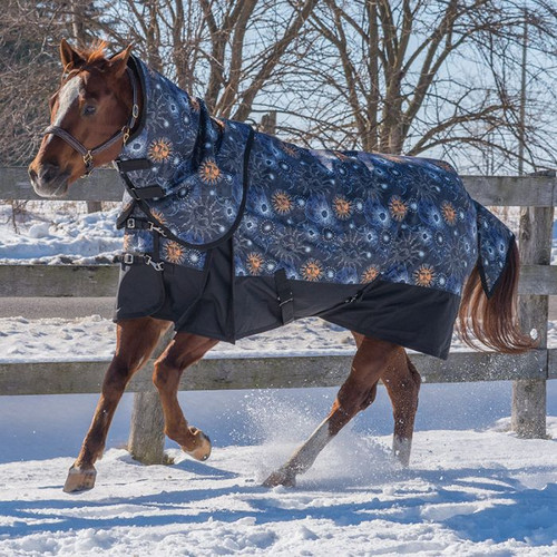 Canadian Horsewear Celestial Diablo Turnout 300Gm