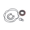 New Seal Kit - Replaces Toro 117-8960 New Seal Kit - Replaces Toro 117-8960