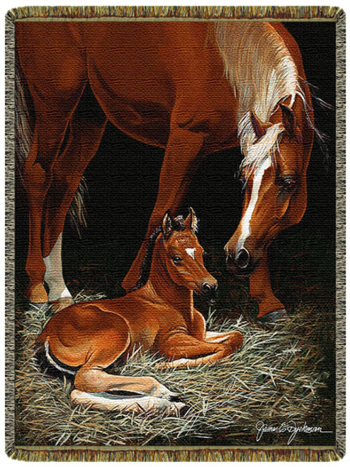 First Foal First Light Horse Tapestry Throw