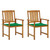 Garden Chair Set of 2 Wooden, Green A949-3061177