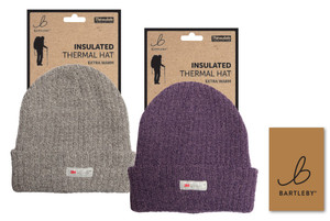 Bartleby Thinsulate Lined Knitted Hat, Winter Hat