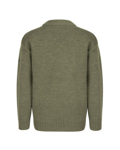 Hoggs of Fife Children's Melrose Jumper in green