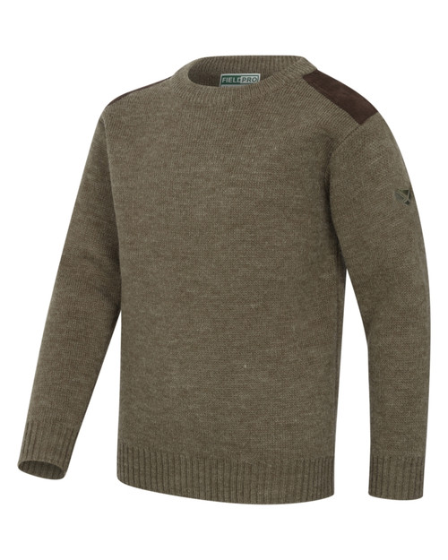 Hoggs of Fife Melrose 2 Crew neck pullover jumper in green, men's country jumper