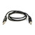 Dent Instruments CBL USB A-B MALE : Replacement 2 Meter, A-To-B Usb Communications Cable For Elitepro XC