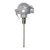 Omega PR-18L-3-100-1/4-6 : RTD Probe, Aluminum Protection Head, Screw Terminal Block, -50 ¬°C to 250 ¬°C (-58 ¬°F to 482 ¬°F), Class A, 1/2 " NPT, 0.25 " x 6 " Probe, Immersion, 316 SS, 100 ¬Ω, 3 Wires, PR-18 Series, Each
