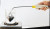 Omega CPSS-18U-12-PFA : PFA Coated Thermocouple Probe, Standard CONN, T Type, 0 ¡C to 315 ¡C (32 ¡F to 600 ¡F), 0.125 " x 12 " (DxL) Probe, PFA Coated, Immersion Probe, Ungrounded, ANSI, CPSS Series, Each