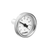 Caleffi R19101 : Replacement temp gauge