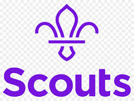 Scout