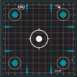 Allen Girls with Guns Splash Adhesive Sight Grid Targets 12x12 - 5/ct