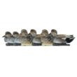 Avian-X Top Flight Decoys Gadwall 6/ct
