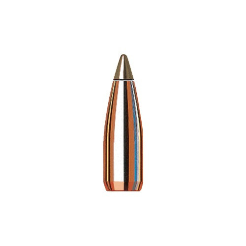 NTX 20 CALIBER (0.204'') 24GR LEAD FREE POLYMER TIP 100/BOX