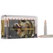 20/ct Ammo