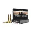 20/box Ammo