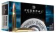 20/ct Ammo