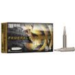 20/ct Ammo