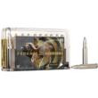 20/ct Ammo