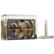 20/ct Ammo