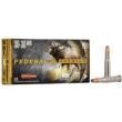 20/ct Ammo