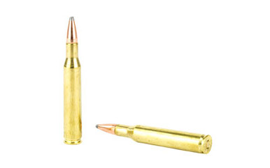 DY AW 270WIN 130GR INT SP 20/Box Ammo