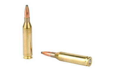  243WIN SP 100GR 20/BOX Ammo