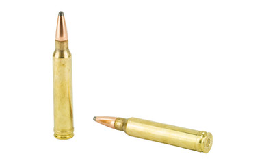 DY AW 300WIN 180GR INT 20/Box Ammo